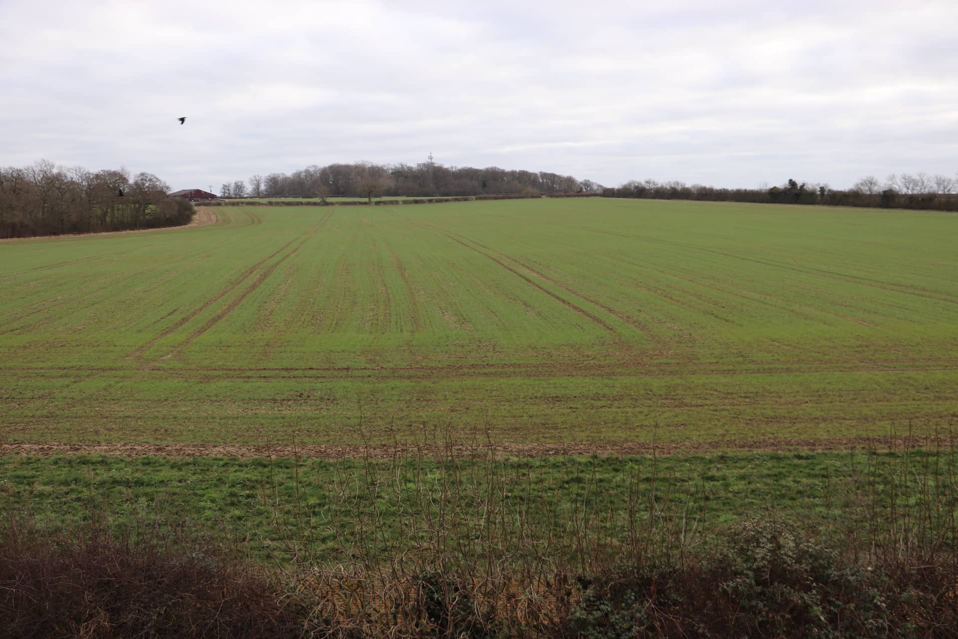 External View from 6 Kite Vale