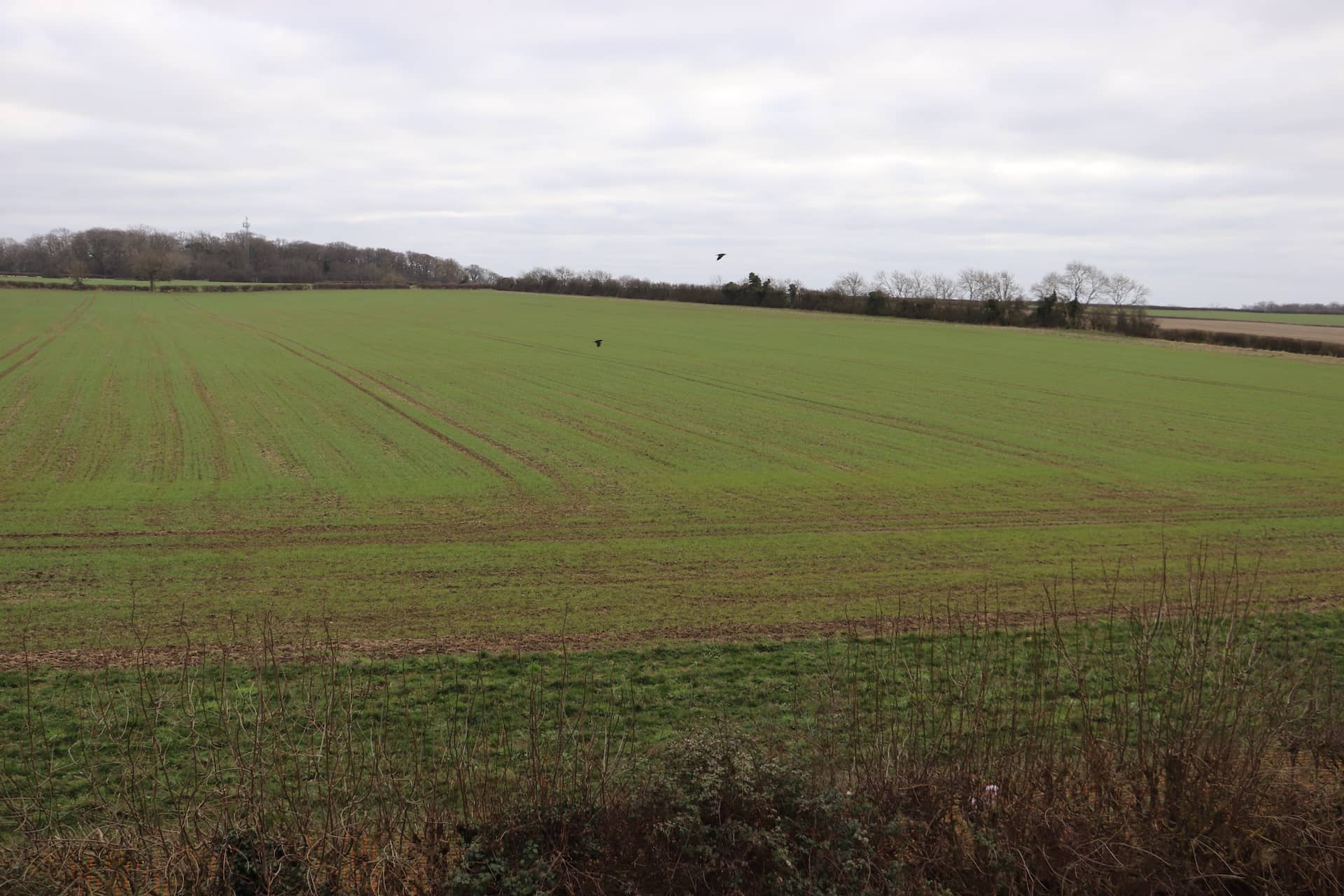 External View from 6 Kite Vale