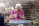 Ledian Gardens Downsizing & Rightsizing