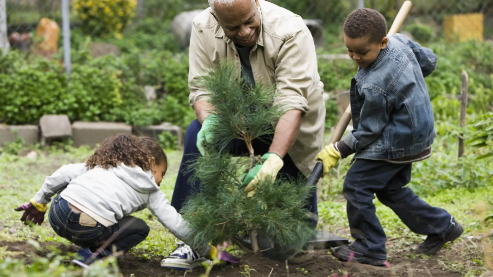 Man and 2 kids gardening