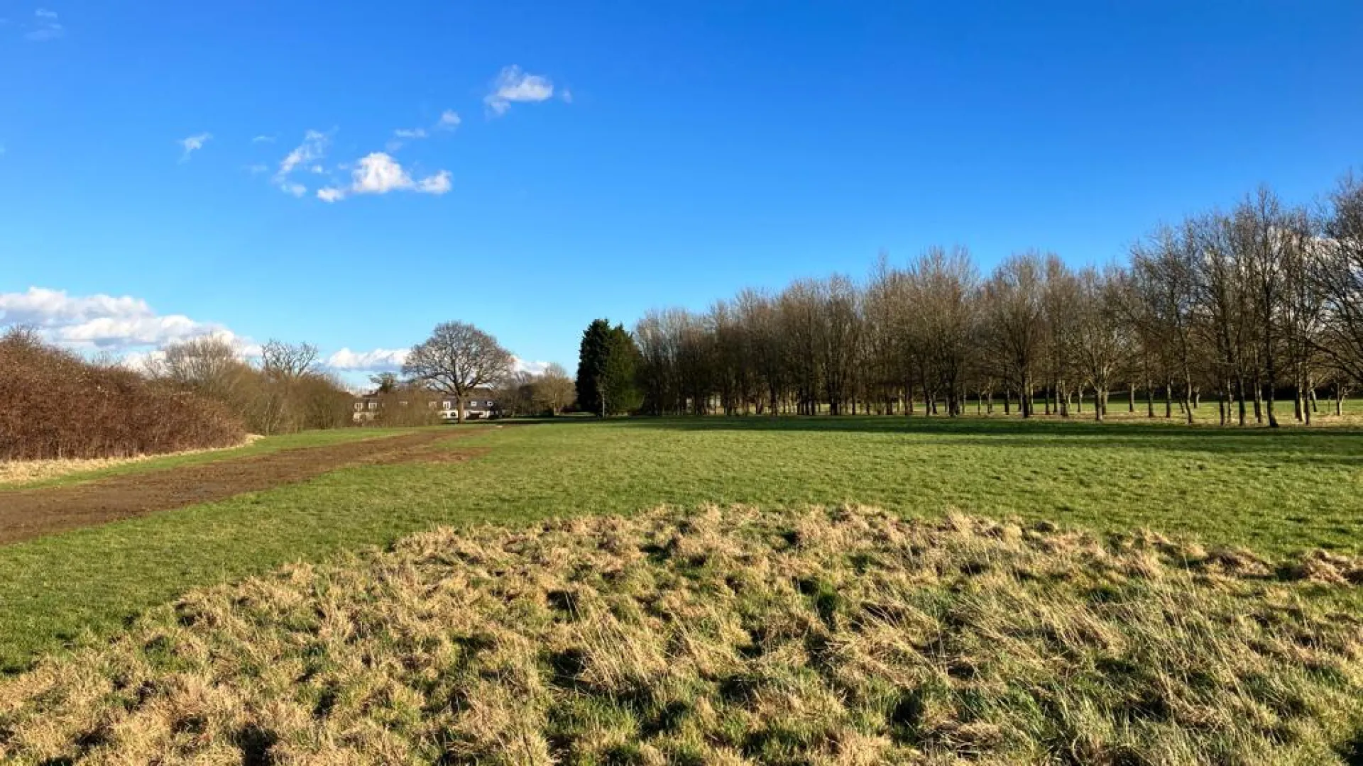 Edenbridge