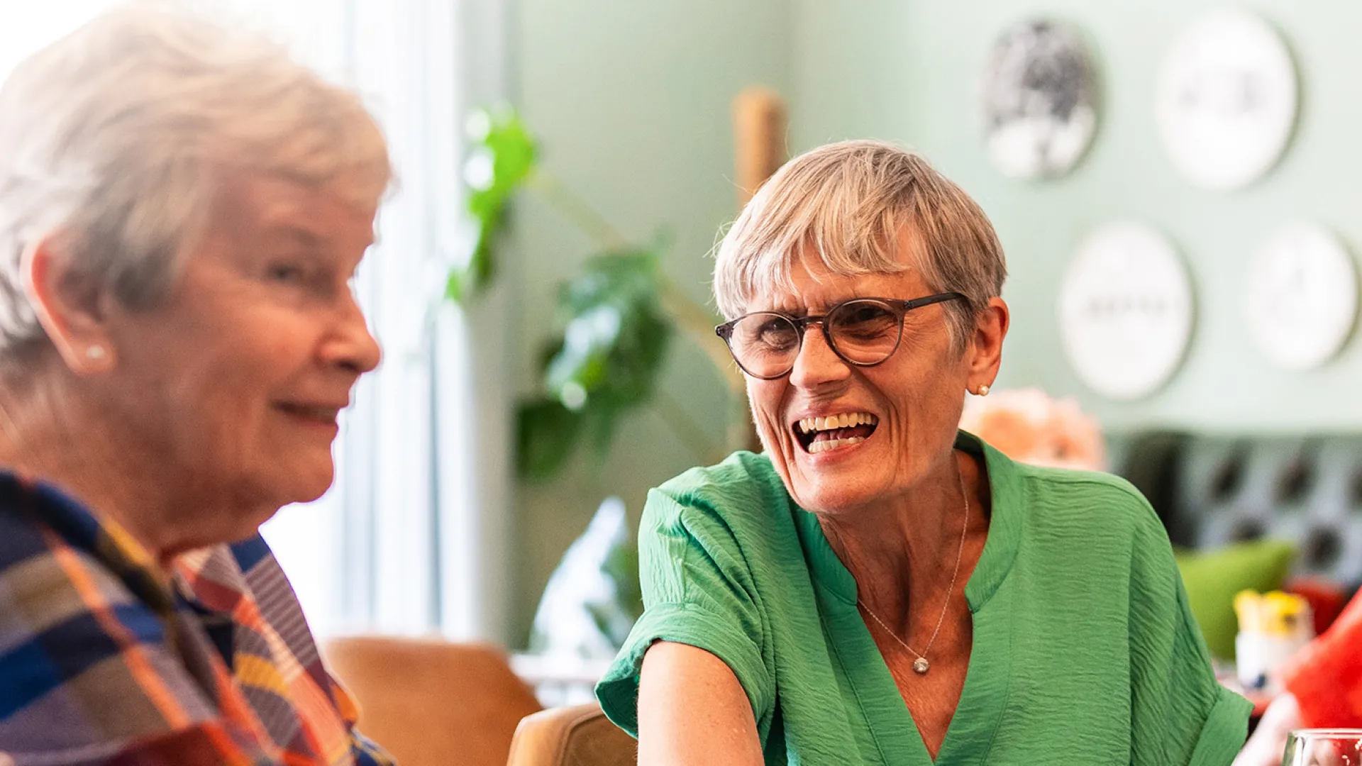 Rightsizing Showcase at Widmore Park