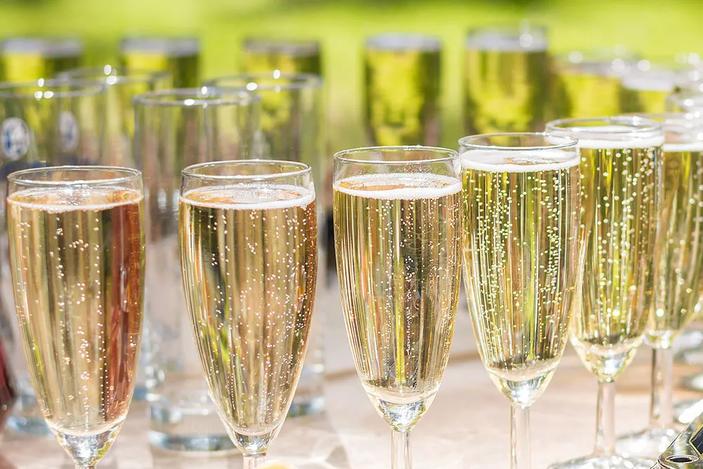 Bramshott Place Open Day