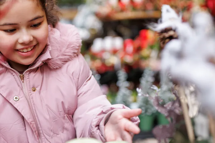 Blendworth Hills Christmas Fête | Festive Event in Horndean 2025