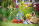 Food and flowers