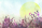 midsummer