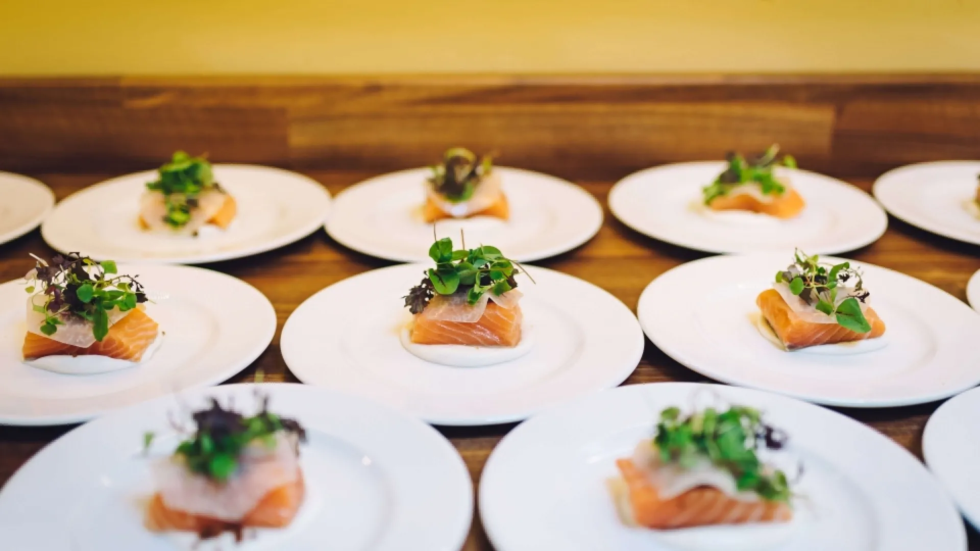 Plates of salmon 