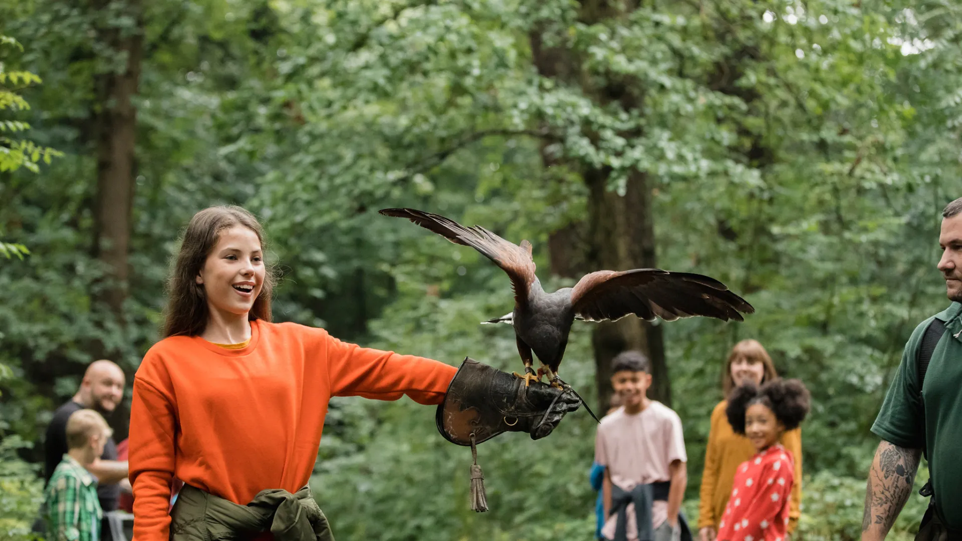 BBQ and Falconry event