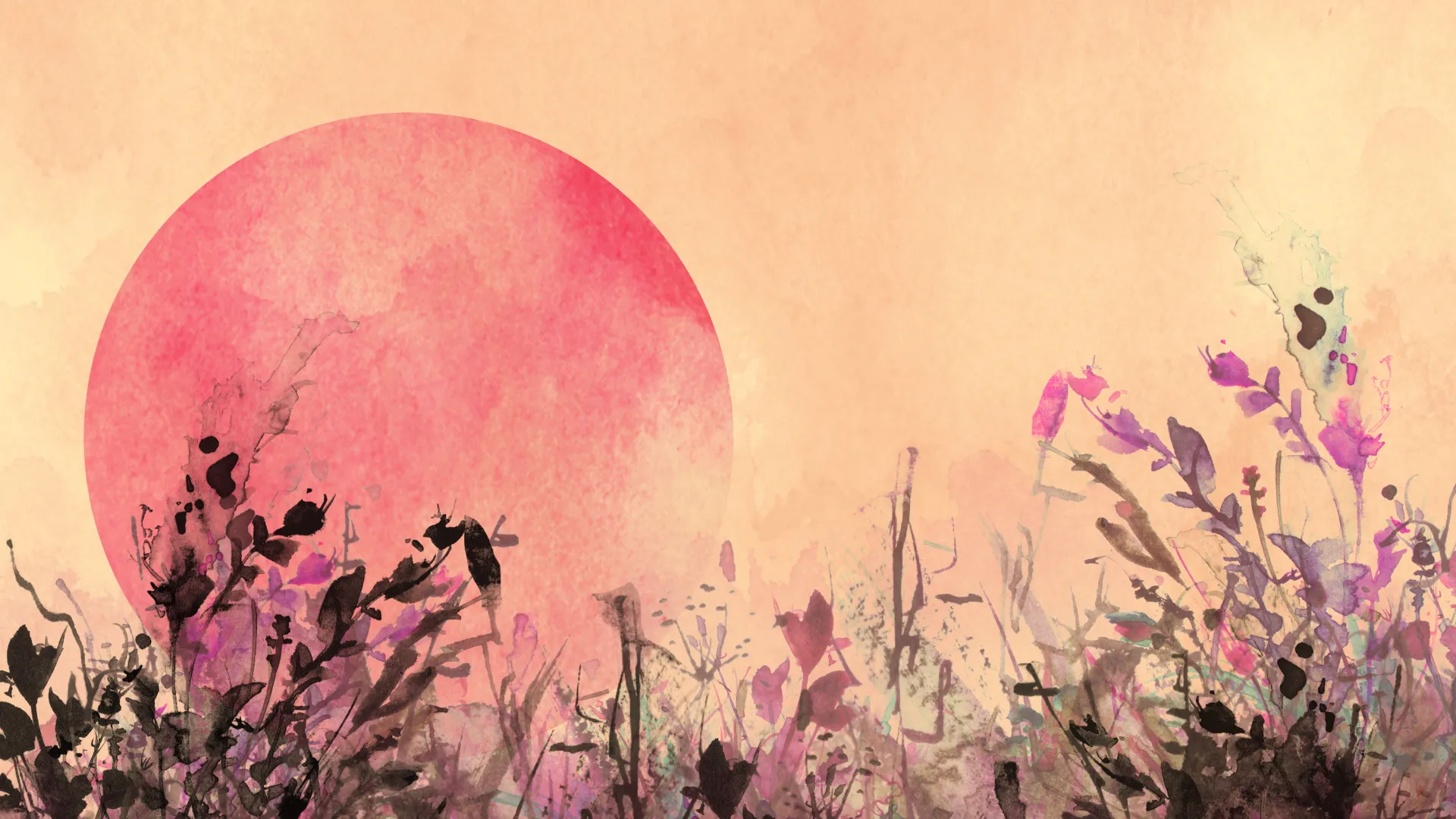 Sunset Serenades