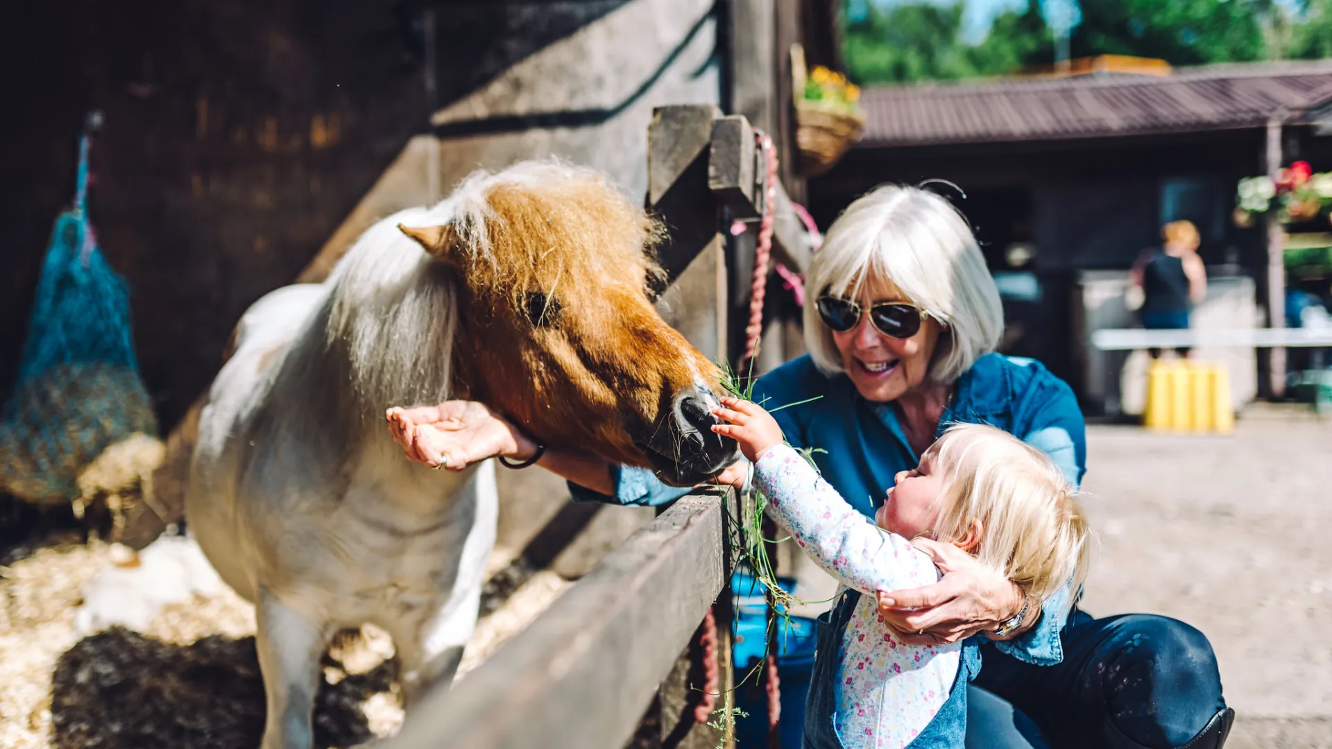 Grandparent with grandchild and a pony