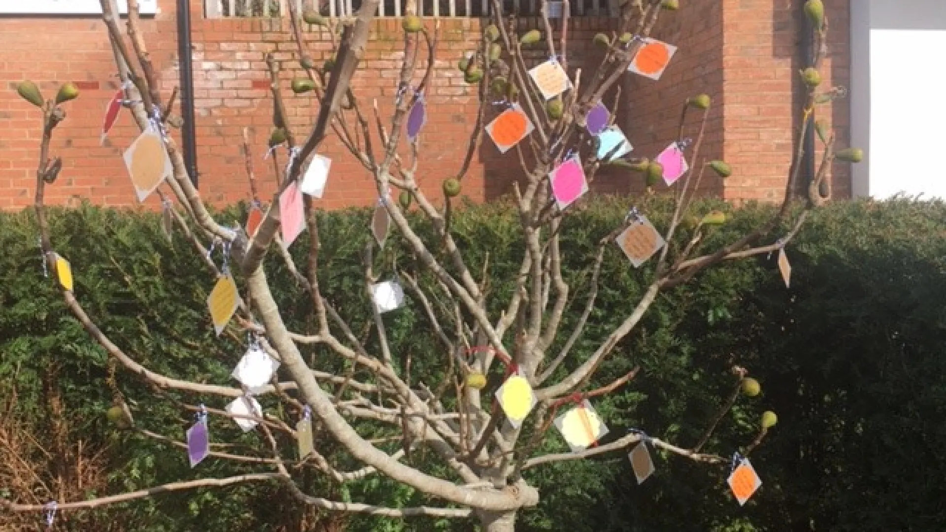 Millbrook residents celebrate Random Acts of Kindness Day
