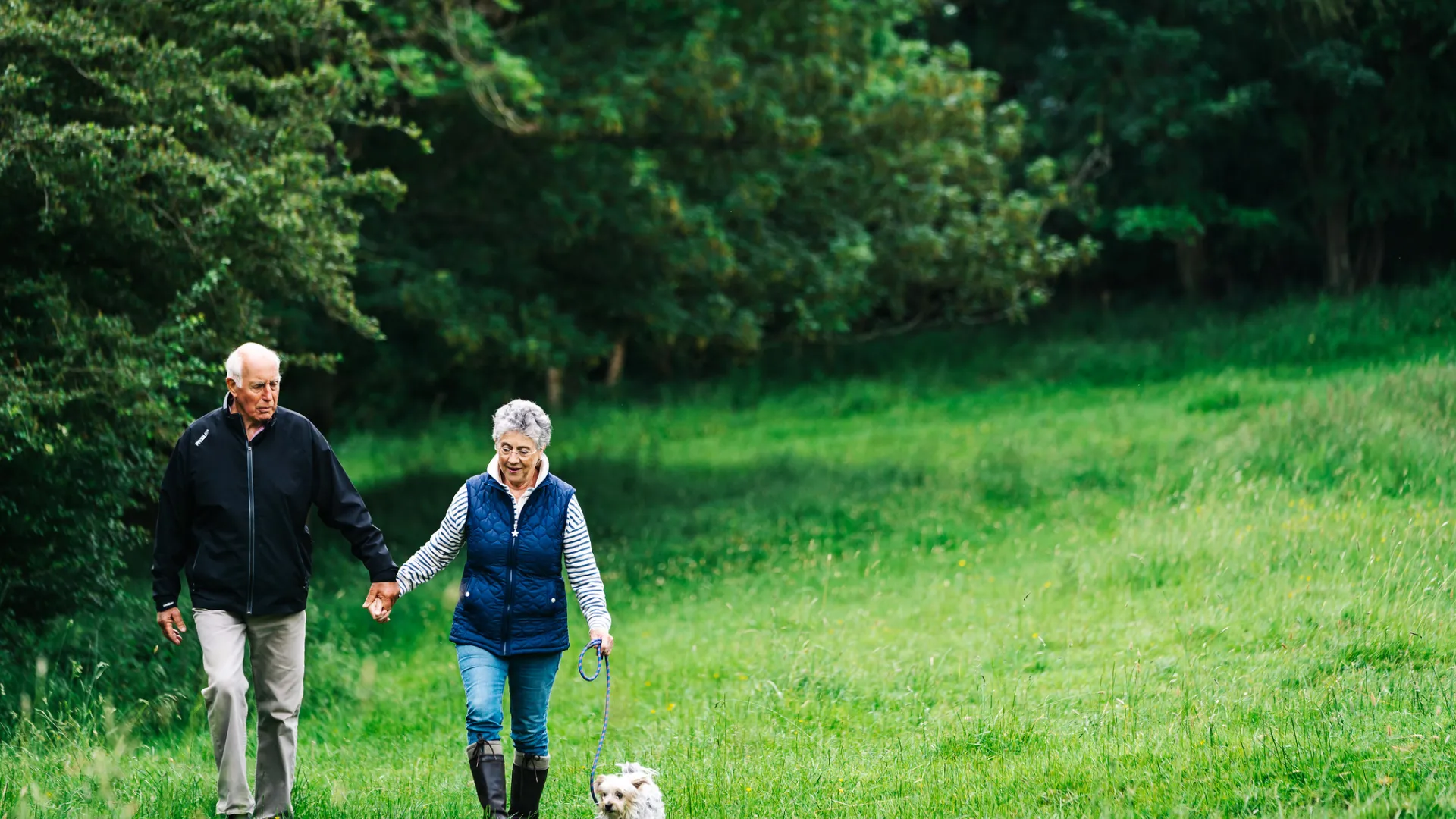 A couple walking with a dog in the countryside