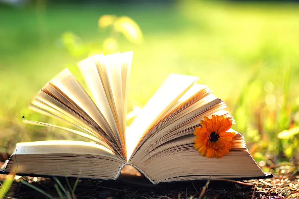 book