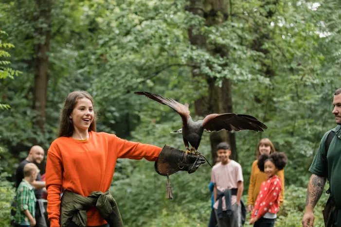 BBQ and Falconry event