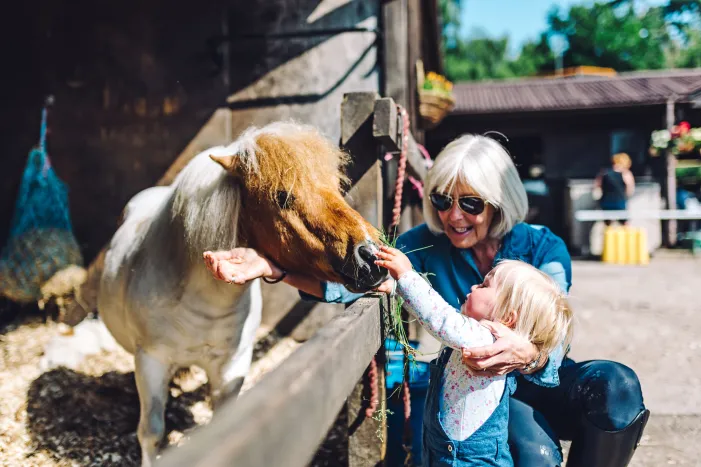 Grandparent with grandchild and a pony
