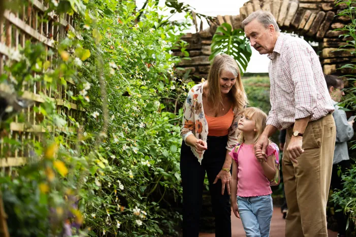 Grandparents and grandkids at the zoo
